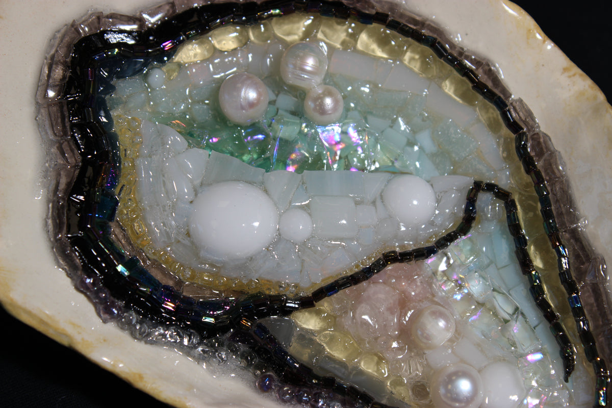Oyster n.6