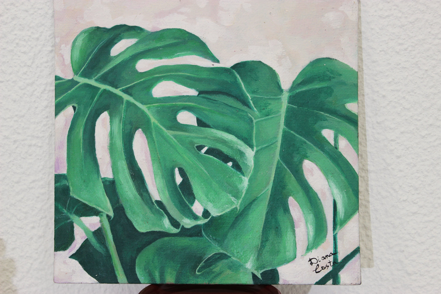 Monstera study