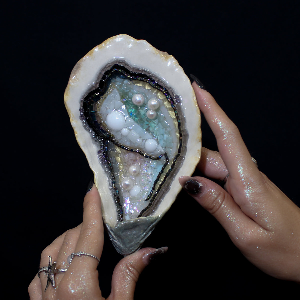 Oyster n.6
