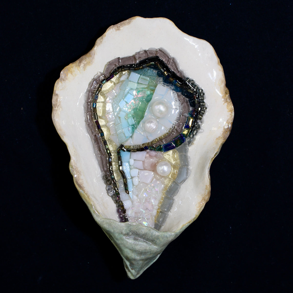 Oyster n.5