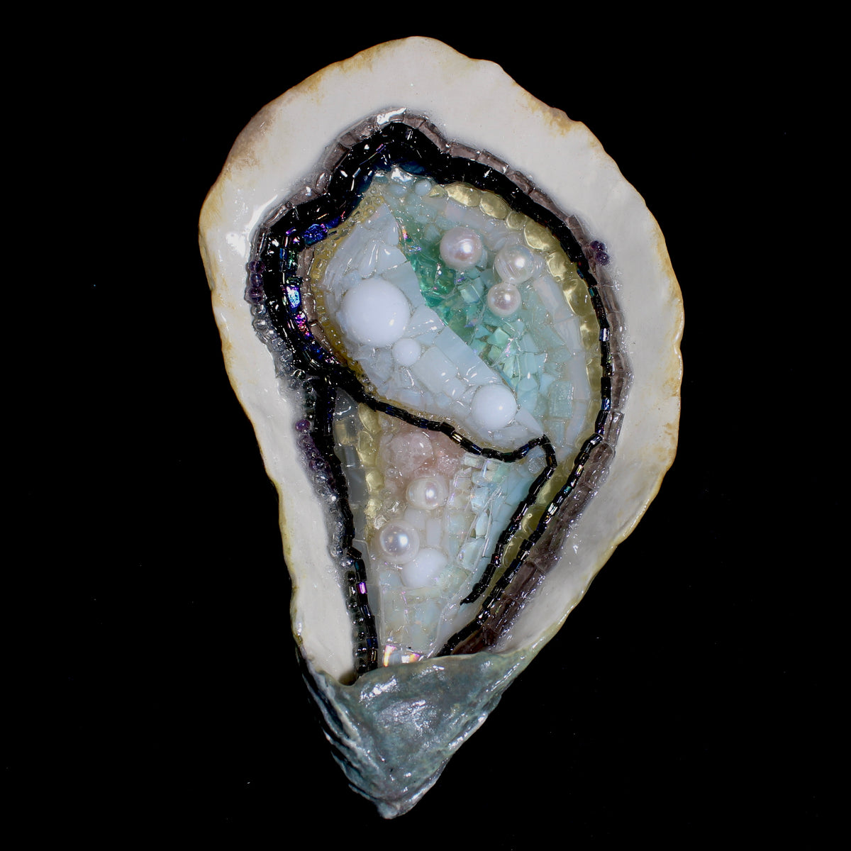 Oyster n.6