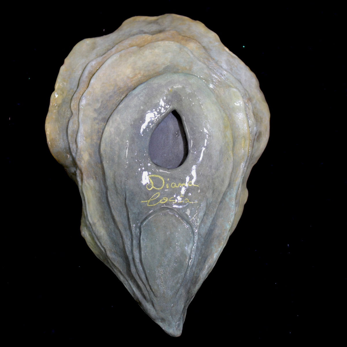 Oyster n.5
