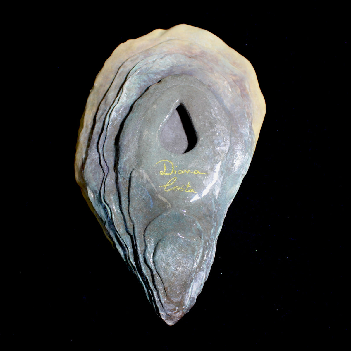 Oyster n.6