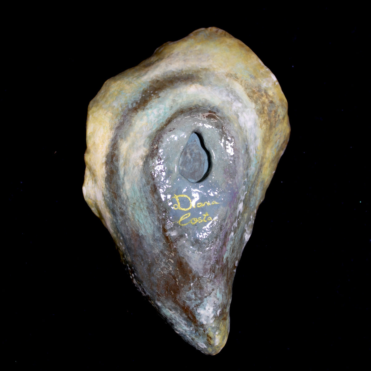 Oyster n.4