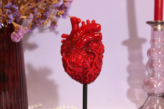 Anatomical heart n.3